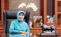 Wakli Ketua Dewan Komisioner OJK Nurhaida (Foto Ist)