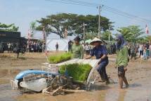 Perkuat Ketahanan Pangan, ID Food bersama Kostrad Lakukan Panen dan Penanaman Budidaya Padi Tahap II di Lahan Strategis
