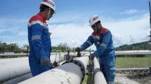 PT Pertamina Geothermal Energy Tbk (PGE)
