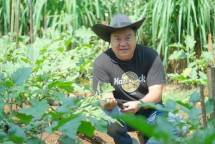 Fransiscus Go sedang memegang hasil kebun di Nara Kupu Village Sawangan, Depok-Jawa Barat. (Foto: Istimewa)*