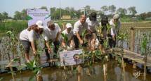 AAJI bersama anggotanya menanam mangrove di PIK
