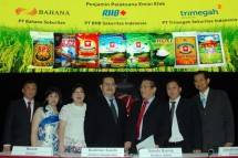 PT Buyung Poetra Sembada Tbk (HOKI) (Foto ist)
