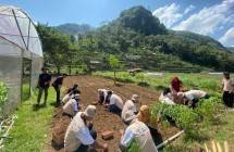 PPA dan JIEP Dukung Pengembangan Desa Pertanian dan Wisata Terintegrasi di Desa Sriharjo