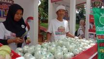KUR BRI Dorong Kemajuan Klaster Jambu Kristal di Purworejo