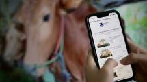 Fitur pembelian hewan qurban di Livin Bank Mandiri