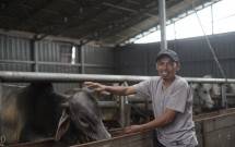 Terobosan Dompet Dhuafa: Memajukan Ekonomi Lokal dan Rangkul Penyintas Bencana
