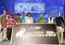 Taman Safari Indonesia Mengumumkan Perhelatan Tahunan International Animal Photo & Video Competition 2024 yang ke-33 