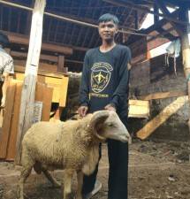 Dompet Dhuafa Tebar Hewan Kurban