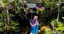 Petani Bunga Bratang