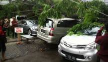 Angin kencang tumbangkan pohon di Jakarta (Foto ist)