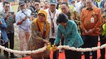 Pembukaan Expo IKN