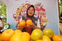 Petani Jeruk binaan BRI