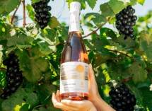 Hatten Wines Rayakan 30 Tahun Sebagai Pionir Industri Wine di Bali