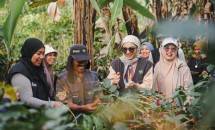 Dompet Dhuafa Sulsel Gelar Hulu Trip Pemberdayaan Kopi