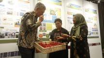 Dukung Penguatan Sektor Pertanian, Syngenta Rayakan 60 Tahun Kemitraan Strategis dengan Petani