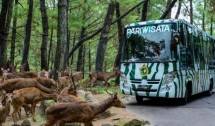 Pemberi Miras ke Satwa Mengaku Terima Ancaman