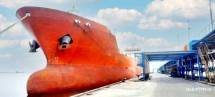 Mantap! Kapalkan 14.500 Ton CPO di Riau, PTPN IV PalmCo Sumbang Devisa USD13 Juta 