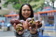 UMKM penjual Manggis binaan BRI