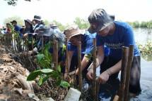 J Trust Bank Lawan Krisis Iklim Melalui Penanaman 3.000 Mangrove 