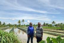 BRI bersama Petani