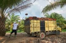 Komitmen Penuh PT Perkebunan Mitra Ogan, Siapkan Langkah ini untuk Penuhi Kewajiban Karyawan yang Tertunda