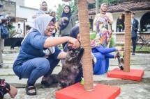 Keren! Beginilah Cara CLEOFEST & ROCCOMUNITY Bangun Ikatan Bersama Hewan Kesayangan