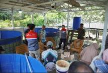 Manfaatkan Teknologi Bioflok, Cara Kilang Pertamina Dukung Astacita Swasembada Pangan