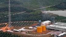 Industri sawit di Kotawaringin, Kalimantan Timur. (Bay Ismoyo/AFP/Getty Images)
