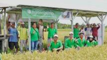 SEEAA Perkuat Investasi Energi Terbarukan Lewat Partisipasi Pendanaan Seri A untuk Agros