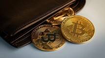 Heboh Kasus BotXcoin! OJK Diminta Adil