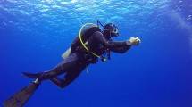 ilustrasi Diving