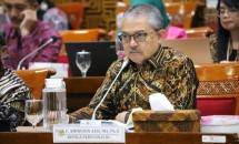 Kepala Perpusnas, E. Aminudin Aziz dalam Rapat Dengar Pendapat (RDP) bersama Komisi X DPR RI, Kamis (24/4/2025).