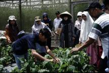 Lembaga Pengembangan Investasi Wakaf (LPIW) menggelar kegiatan wisata panen bertajuk &ldquo;Petik Cerita, Rangkai Manfaat&rdquo; di kawasan wakaf produktif Pesantren Tahfidz Green Lido, Sukabumi.