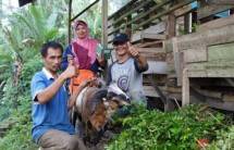 kelompok ternak &lsquo;Bashorun Fuadun&rsquo;, yang kini menjadi salah satu kelompok andalan di Kalapanunggal.