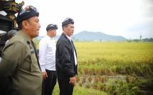 Menteri Pertanian (Mentan) Andi Amran Sulaiman bersama dalam kegiatan panen padi di Desa Margomulyo, Kecamatan Tomoni, Kabupaten Luwu Timur, Sulawesi Selatan.