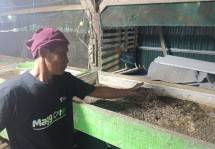Pemanfaatan limbah sampah organik dapat menciptakan peluang bisnis dan ekonomi bagi peternak maggot.