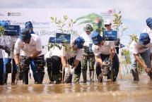 Penanaman 5.000 bibit mangrove pada kegiatan &ldquo;GoZero% Goes to Borneo&rdquo; di Pantai Batu Perawan, Tarakan, Kalimantan Utara, beberapa waktu lalu.