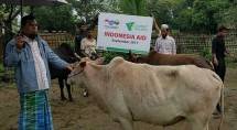 Program Tebar Hewan Kurban Dompet Dhuafa 