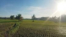 Kalegowa Jadi Destinasi Slow Travel Terbaik di Indonesia