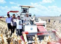 Luar Biasa, Dahsyat! Ekspor 1.200 Ton Jagung ke Malaysia, Prabowo Bawa RI Menuju Lumbung Pangan Dunia 