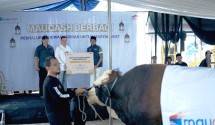 Maucash Berbagi: Rayakan Idul Adha dengan Salurkan Hewan Kurban.