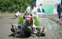 Wamentan Sudaryono saat menanam padi dengan menggunakan alat rice transplanter di Koyong Utara, Kalbar