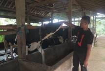 Dapatkan Fasilitas Pembiayaan dan Transaksi dari BRI, Klaster Susu di Ponorogo Berhasil Tingkatkan Kapasitas Produksi