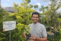Petani tanaman Hias