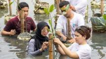 Delta Sukses Teknologi Rayakan Semangat Kemerdekaan dengan Menjaga Alam Lewat Aksi Peduli Bumi Tanam 1.000 Pohon Mangrove di Kepulauan Seribu
