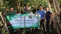 QNET Bersama Kodim 1611/Badung Tanam dan Rawat Bakau di Taman Hutan Raya Ngurah Rai