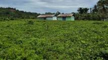 Kondisi sekolah di di Halmahera Barat