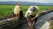 Strategi Terintegrasi Hadapi El Nino, Kementan Optimistis Ketahanan Pangan Tetap Terjaga