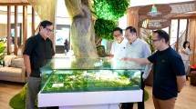 Bidik Penjualan Rp1,5 Triliun, Ini Kejutan Summarecon Expo 2025