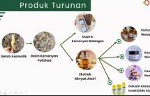 Minyak Atsiri Dikembangkan, Kemenperin Pacu IKM Hilirisasi Kemenyan